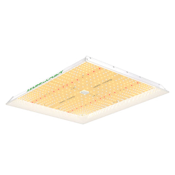 MARSHYDRO 2024 New TSW2000 300W LED Grow Light for Indoor Plants